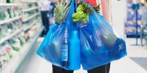 Disposable plastic store grocery bags