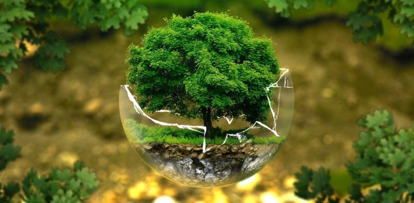 6 Ways To Celebrate Earth Day Everyday