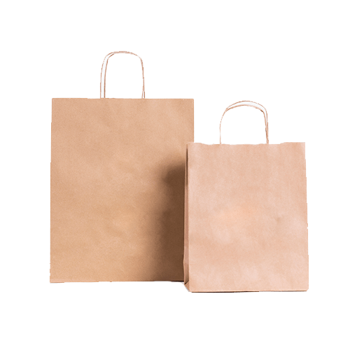 Stock Unprinted Brown Kraft Paper Rx Bag