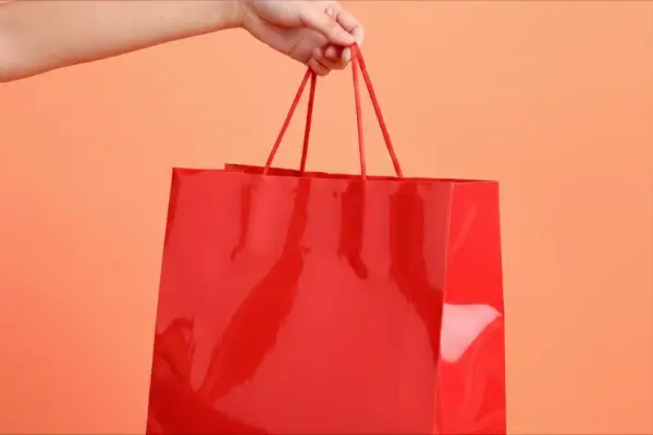 Plastic Bags With Handles product 1